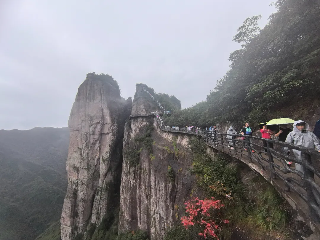 澳门赌霸必中八马